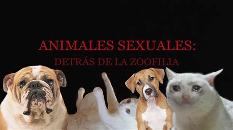 sexoconanimales|Mira vídeos porno auténticos de zoofilia con animales gratis